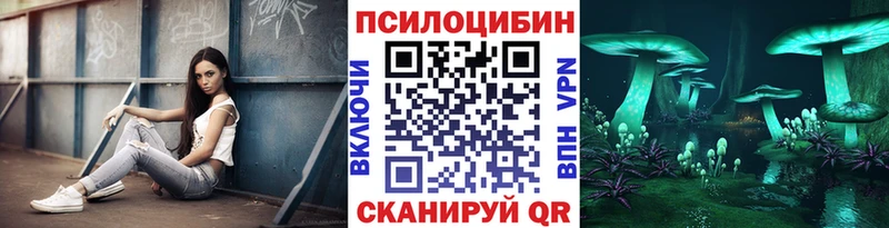 Псилоцибиновые грибы Cubensis  Черемхово 